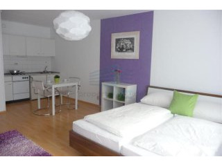 Modernes mobliertes 1-Zimmer-Apartment..