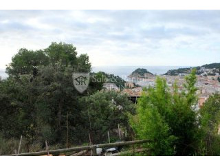 Fantastic Plot In The Village Of Tossa..
