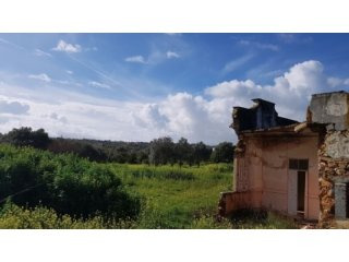 Large Flat Plot Which Lots Of..