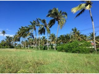 Prime Cabarete Development Land With..