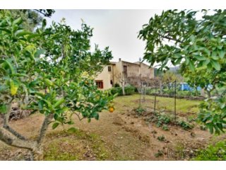 Quiet semi detached country house in the country of..