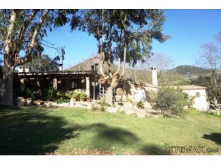 Secluded 2 bedroom cottage nestled in the tramuntana..