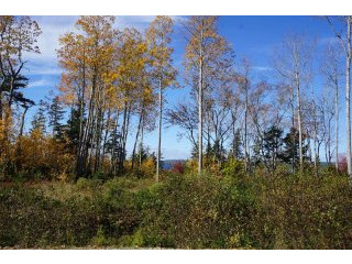 Land For Sale: Lot 5 Endeavour Avenue..