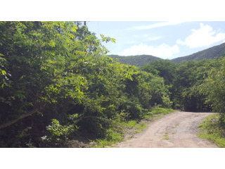Rare Freehold Parcel