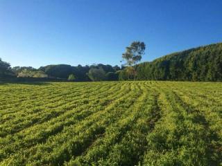 Land For Sale: 4615 Via Roblada, Santa..