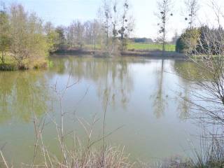 Lake Property With Wooden Chalet In..