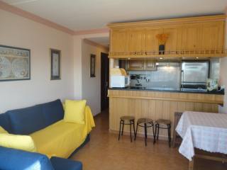 Rentals For Sale in Playa De Las..