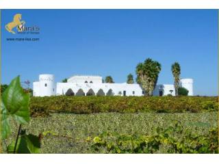 Wine Growing Country Estate El Puerto..