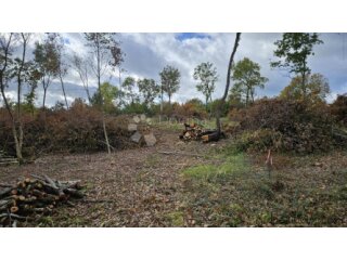 780 m2 građevinskog i 2665 m2 poljoprivrednog zemljišta