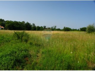 ISTRA, OKOLICA MUNTRILJA, GRAĐEVINSKO ZEMLJIŠTE 2760 M2