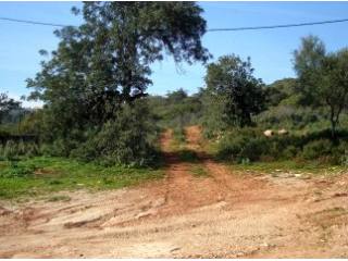 For Sale: Plot In Central Algarve..