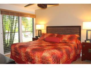 Aina Nalu Condo A101