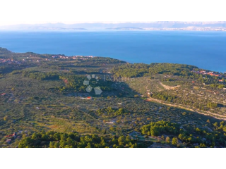 ZEMLJIŠTE OTOK BRAČ- IDEALNO ZA OPG!