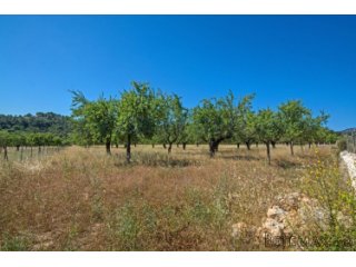 Rustic plot in an undamaged natural scenery. with great..