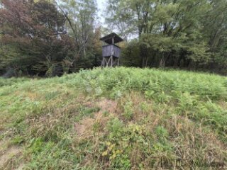 Zemljište 1.169m² na mirnoj lokaciji sa pristupnim putem nad