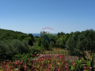 ISTRA, PREMANTURA, GRAĐEVINSKA PARCELA 1961 M2 S POGLEODM NA