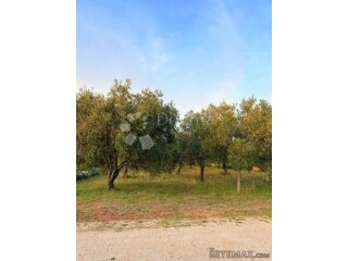 Zemljište 2002 m2 uz sami rub građevinskog područja