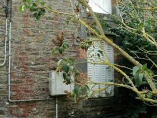 Village House to Renovate