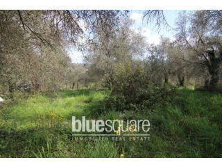 Serviced plot with granted planning..