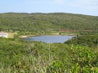 Singlefamilyvacant - Expansive 31 Acre..
