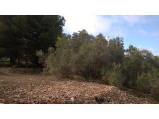 La Merced Plot in Calpe