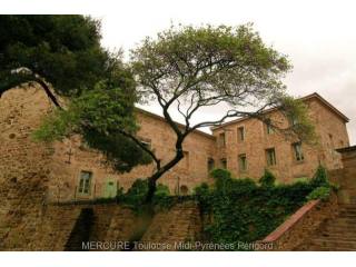 Castle For Sale: 11000 AUDE