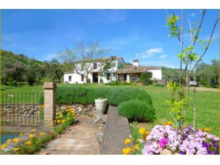 4 Bedrooms - Land / Ruin - Huelva - For..