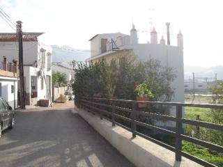 Town House - A large 4 level detached..