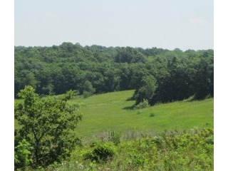 PRICE REDUCED: 614 +/- Acres Northern..