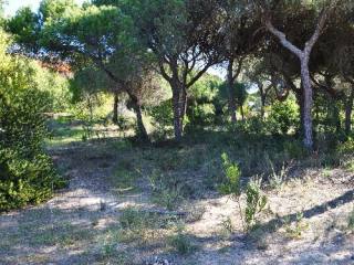 Great Plot in Vale do Lobo in the Ocean..