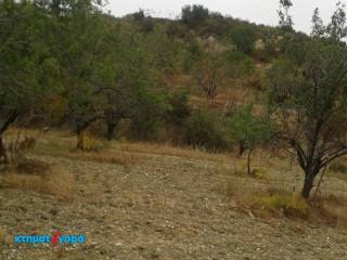 Agricultural Land in Marathounta, Pafos