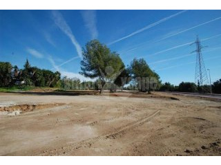 Plot/land For Sale In Nagueles..