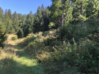 Atraktivno zemljište, Gorski kotar