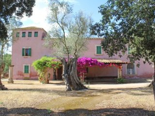 Charming Finca To Renovate In Algaida
