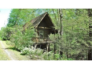Secluded NC Creekside Vintage Cabin