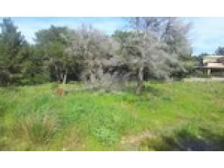 - Land - For Sale
