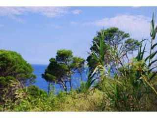 Plot of land close to seafront
