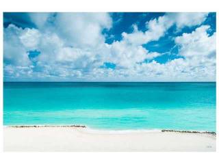 2901 Collins Avenue # 1201 Miami Beach..