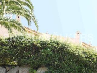 A bit of Ibiza
