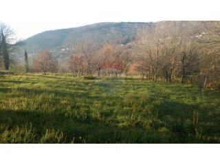Bribir, građevinski teren od 1800m2 na odličnoj lokaciji!