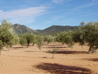 - Land - Alicante - For Sale