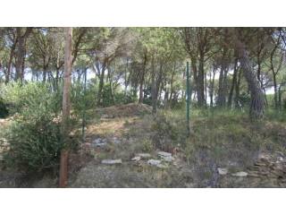 PLOT IN BEGUR