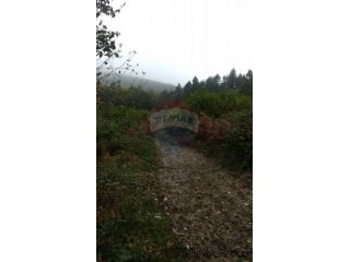 Plemenitaši poljoprivredno zemljište