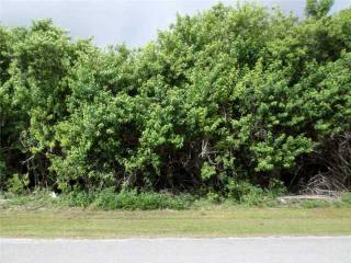 Land For Sale: 1167 COVERBROOK LN