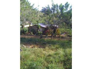 Beautiful Farmland With House And..