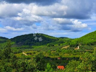 Poljoprivredno zemljište Smokvica