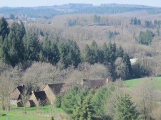 Vicq Sur Breuilh