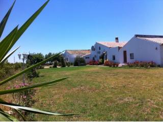 14 Bedrooms - Villa - Sevilla - For Sale