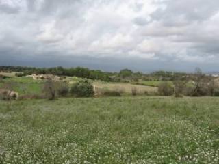 Finca plot between, Santa Margarita..