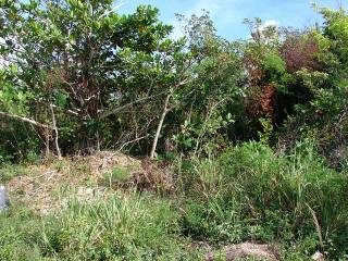 Singlefamilyvacant - This vacant lot is..